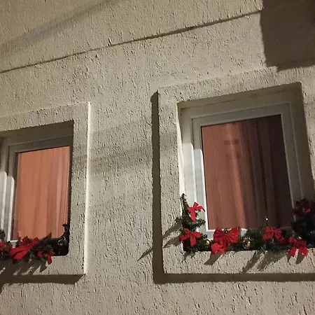 Lily's House